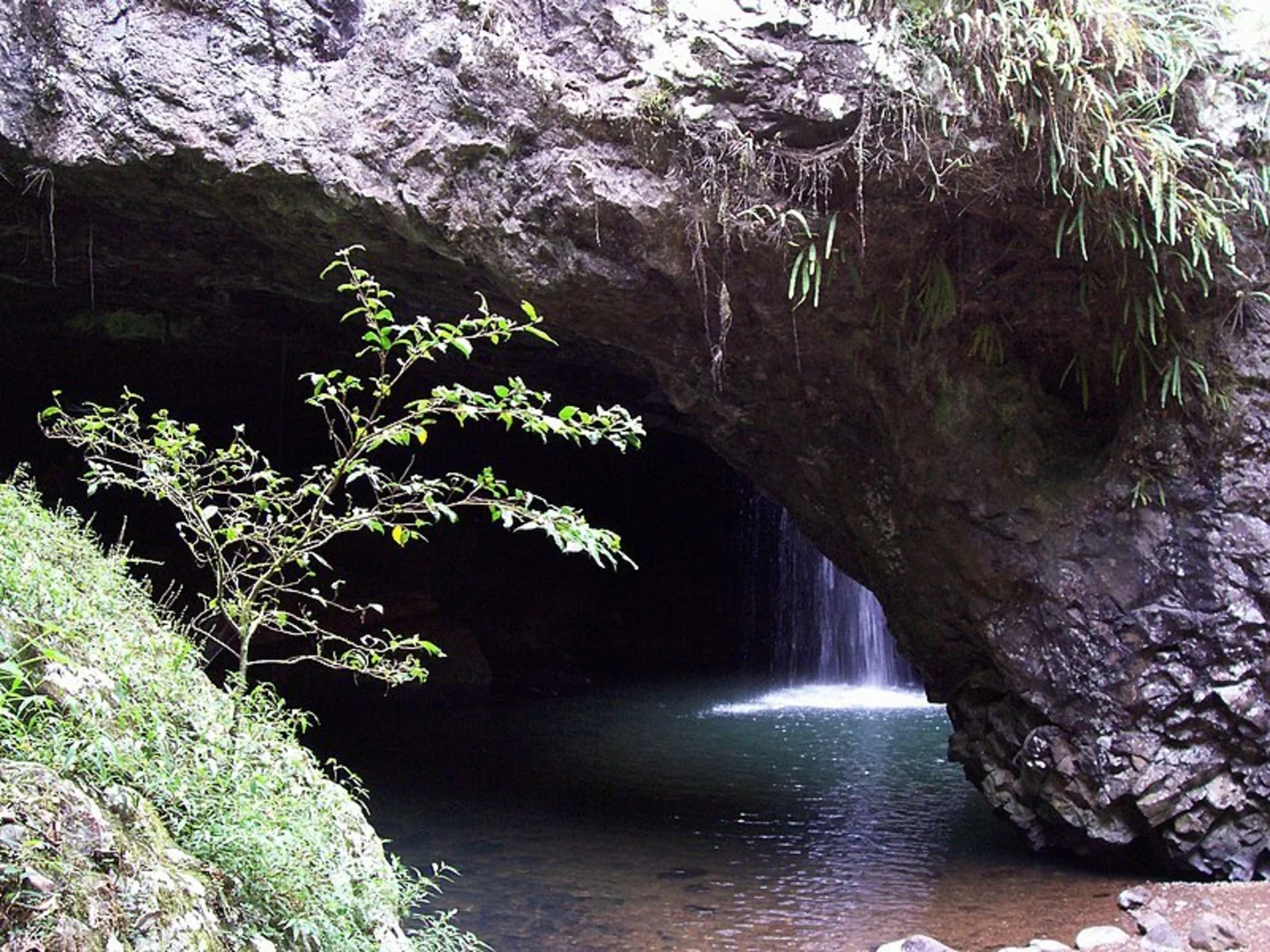 An image depicting the trail Natural Bridge Circuit Track and its surrounding area.