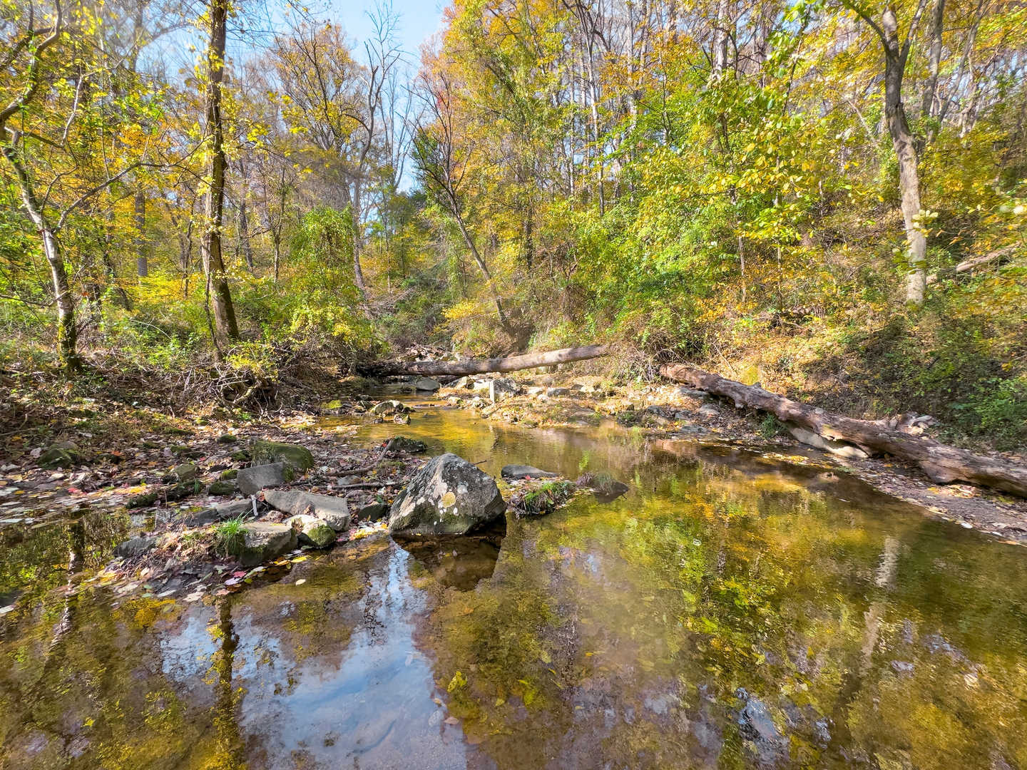 An image depicting the trail Susquehanna Ridge, Deer Creek and Ivy Branch Loop Trail and its surrounding area.