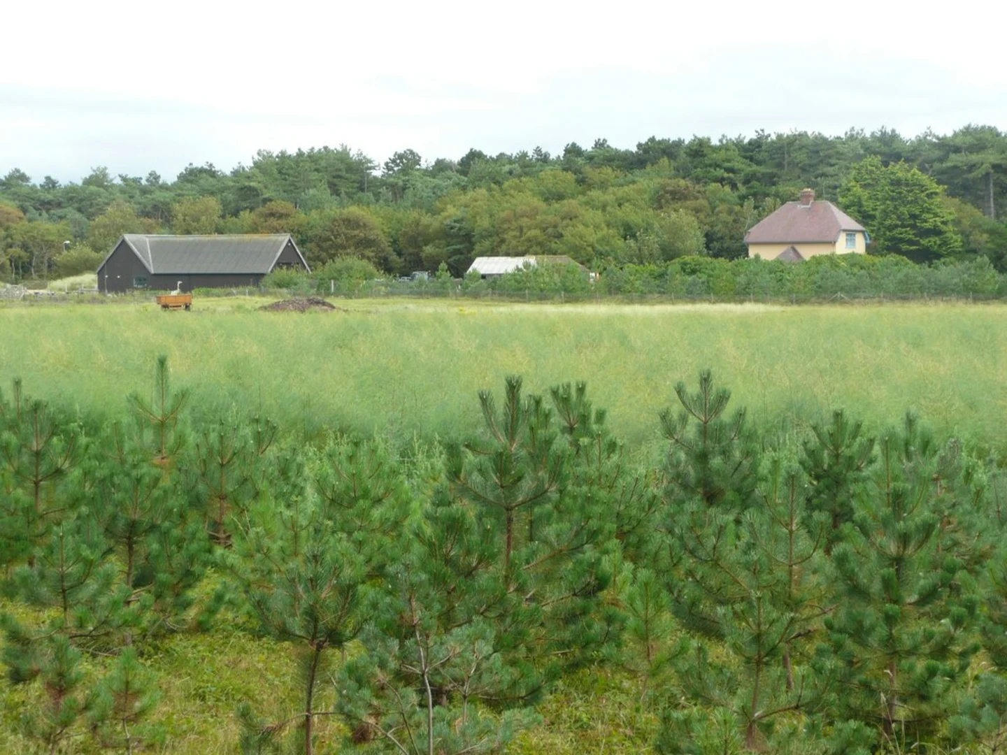 An image depicting the trail National Trust - Formby Loop and its surrounding area.