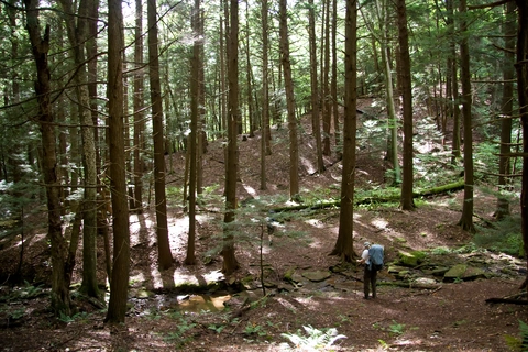 Oil Creek Trail