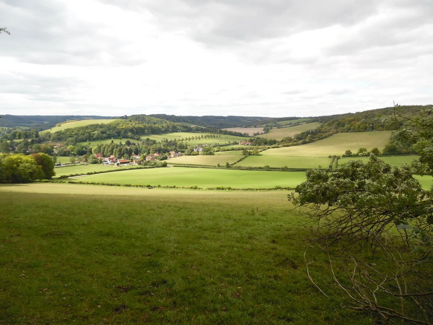 An image depicting the trail Fingest Loop and its surrounding area.