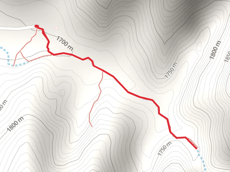 Red Hollow