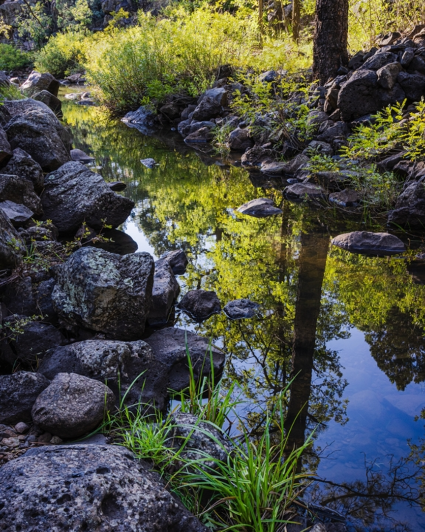 An image depicting the trail Old Hatchery Trail and its surrounding area.