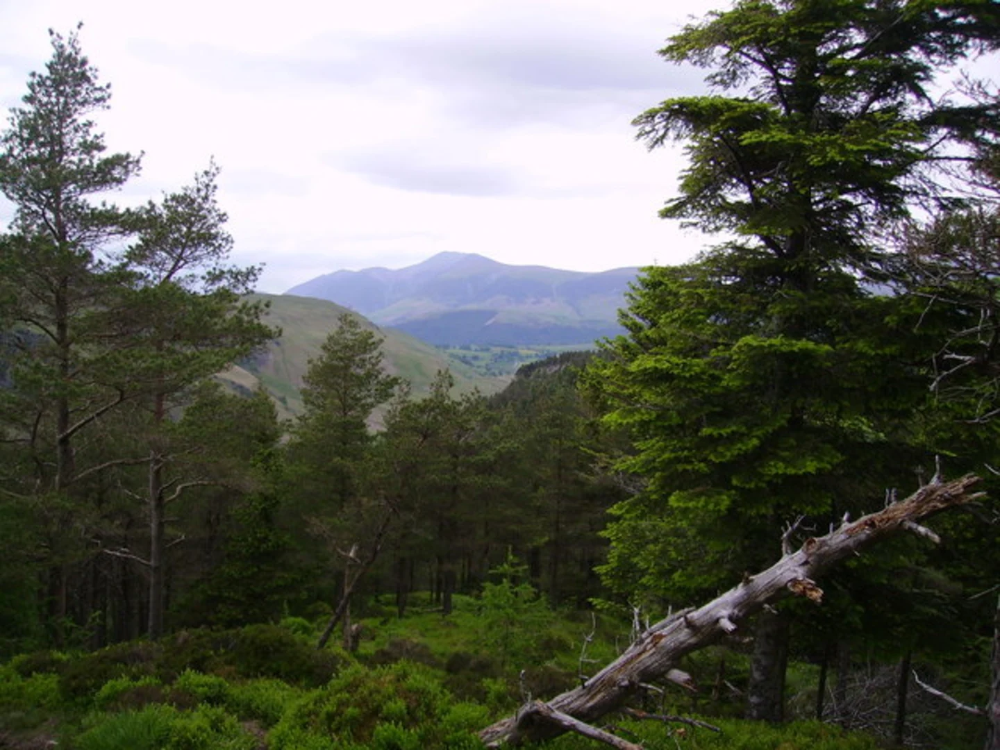 An image depicting the trail Flat Fell Loop and its surrounding area.