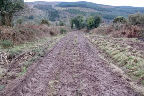 An image depicting the trail East Munster Way and its surrounding area.
