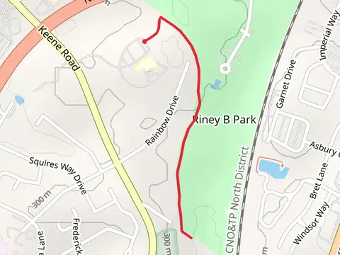 Riney B Trail