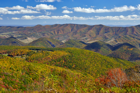 Susquehannock Trail