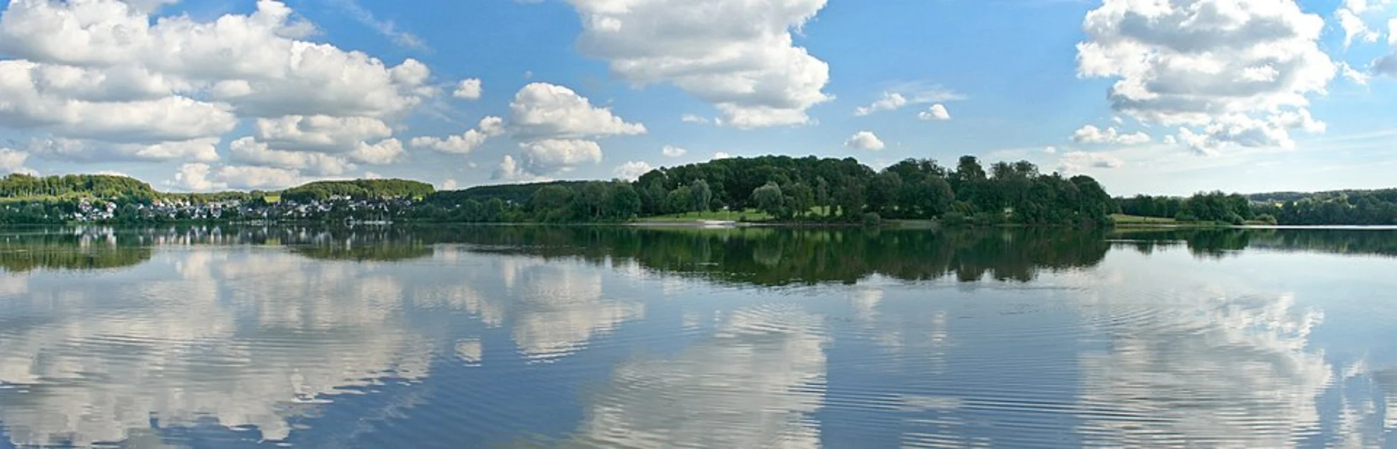 An image depicting the trail Wiesensee Loop and its surrounding area.