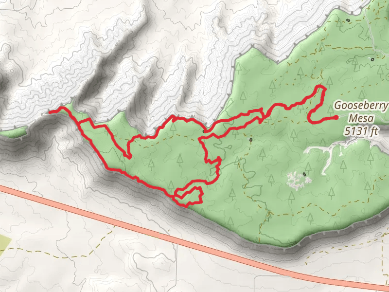 Practice Loop and North-South Rim Trail