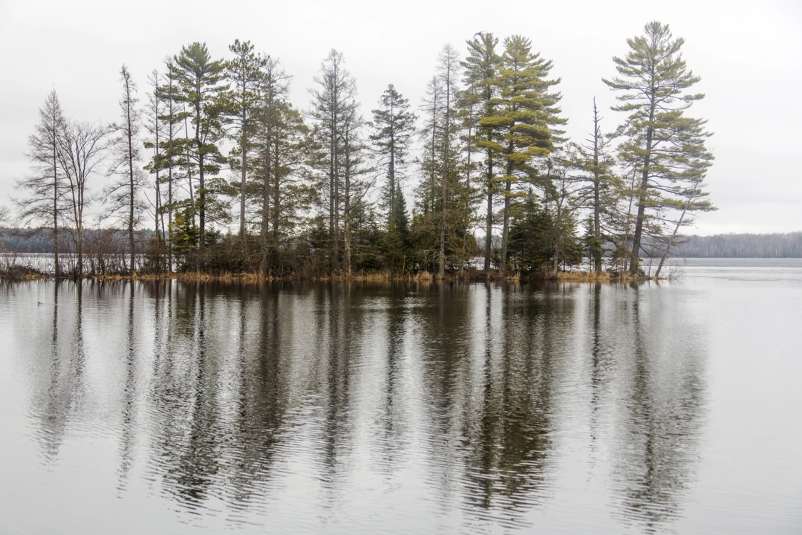 An image depicting the trail Round Lake Loop E Trail and its surrounding area.