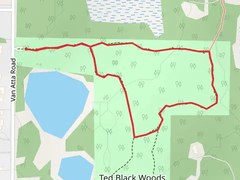 Ted Black Woods Loop Walk