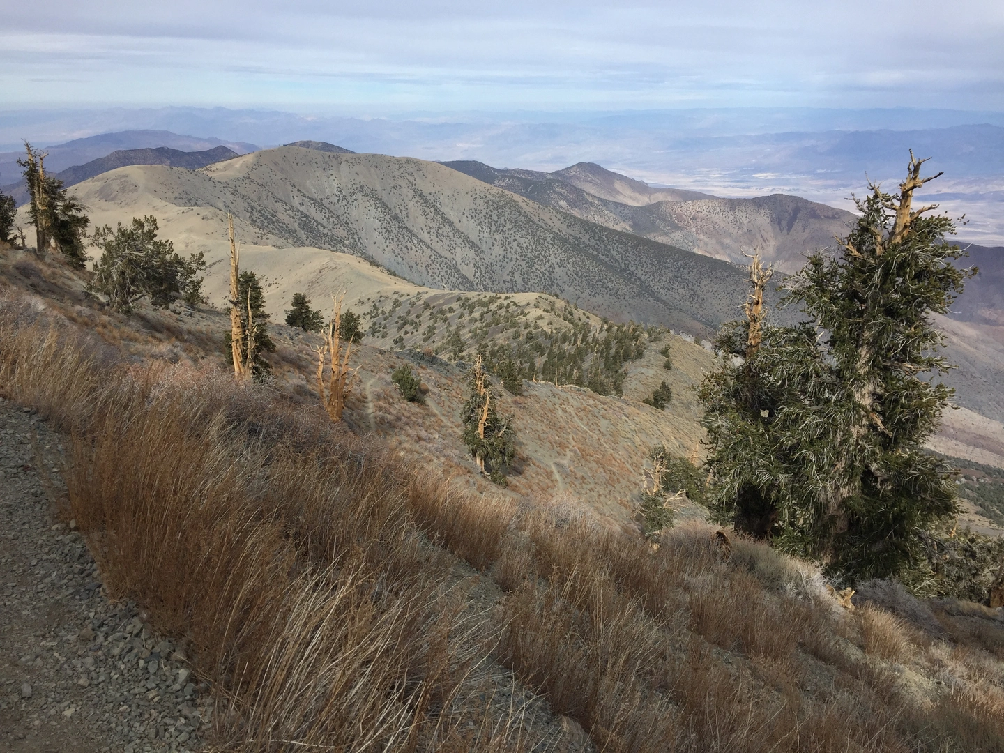An image depicting the trail Piñon Mesa and its surrounding area.