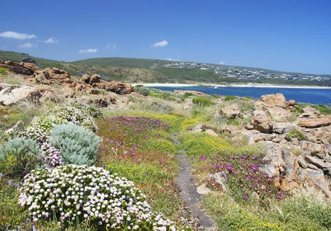 Cape to Cape Track