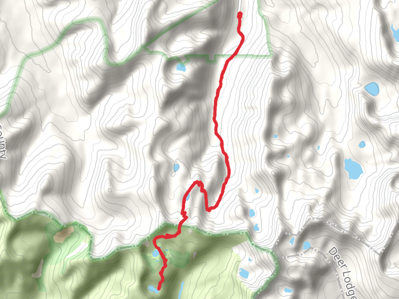 Little Johnson Lake and Ripple Lake Trail