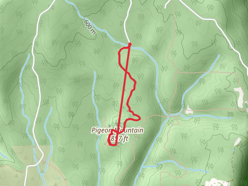 Pigeon Mountain