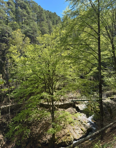 Alpe Campra