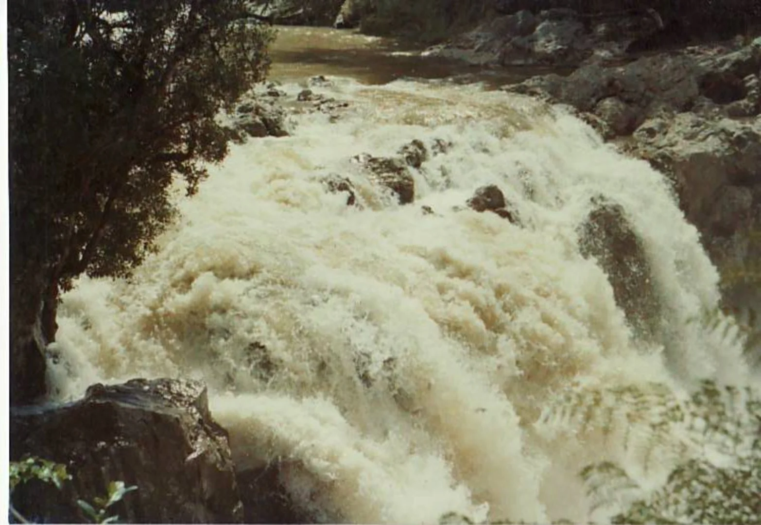 An image depicting the trail Whinray Track and its surrounding area.
