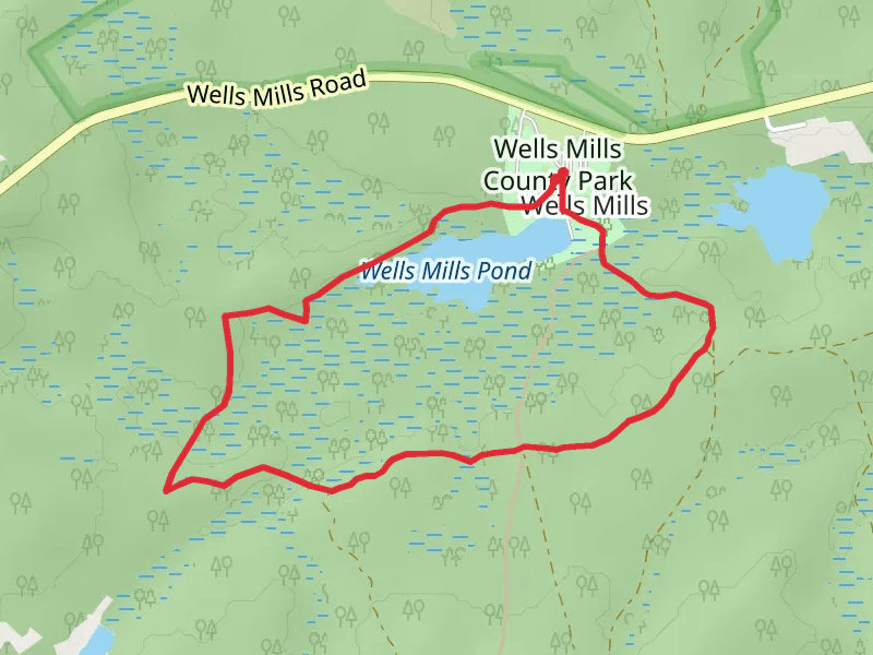 Wells Mills Pond Loop