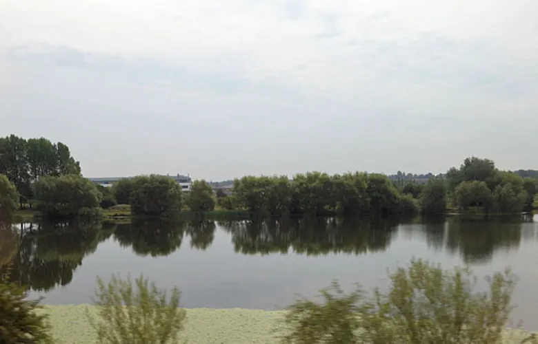 Lupset Pond and City of Wakefield Loop