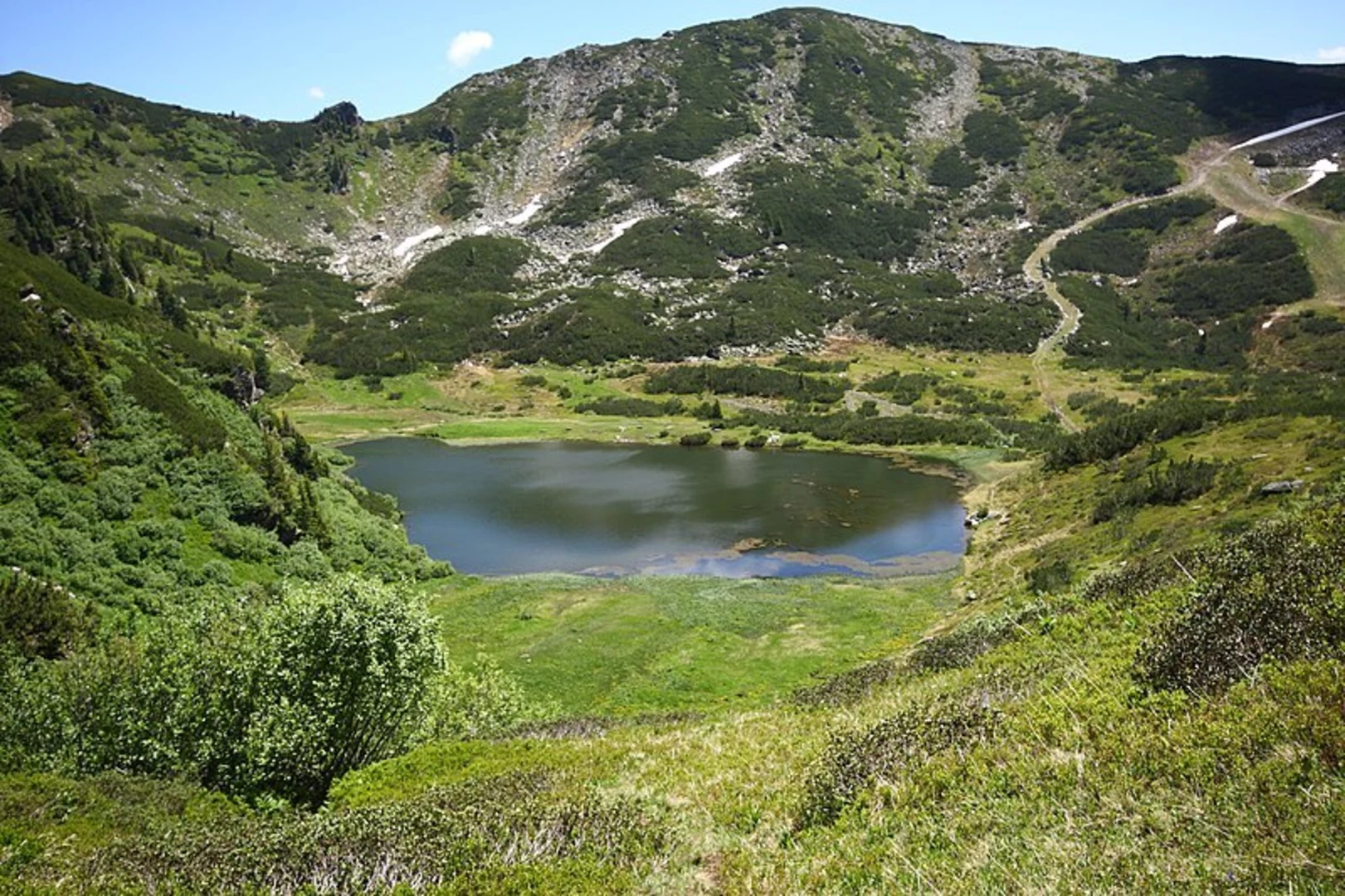 An image depicting the trail Plannereck, Kleiner and Großer Rotbühel Peak Loop and its surrounding area.