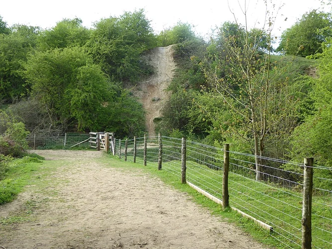 Twywell Plantation and Country Park Loop