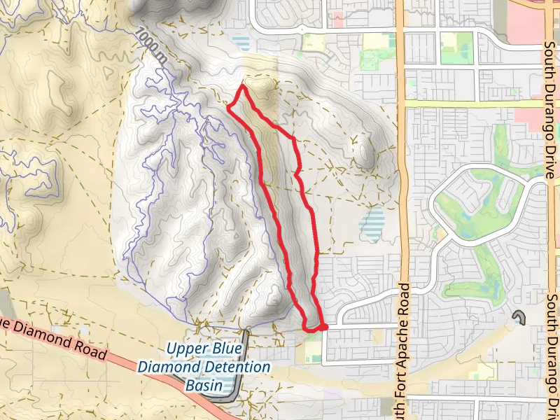 Southwest Ridge - fireroad back Loop
