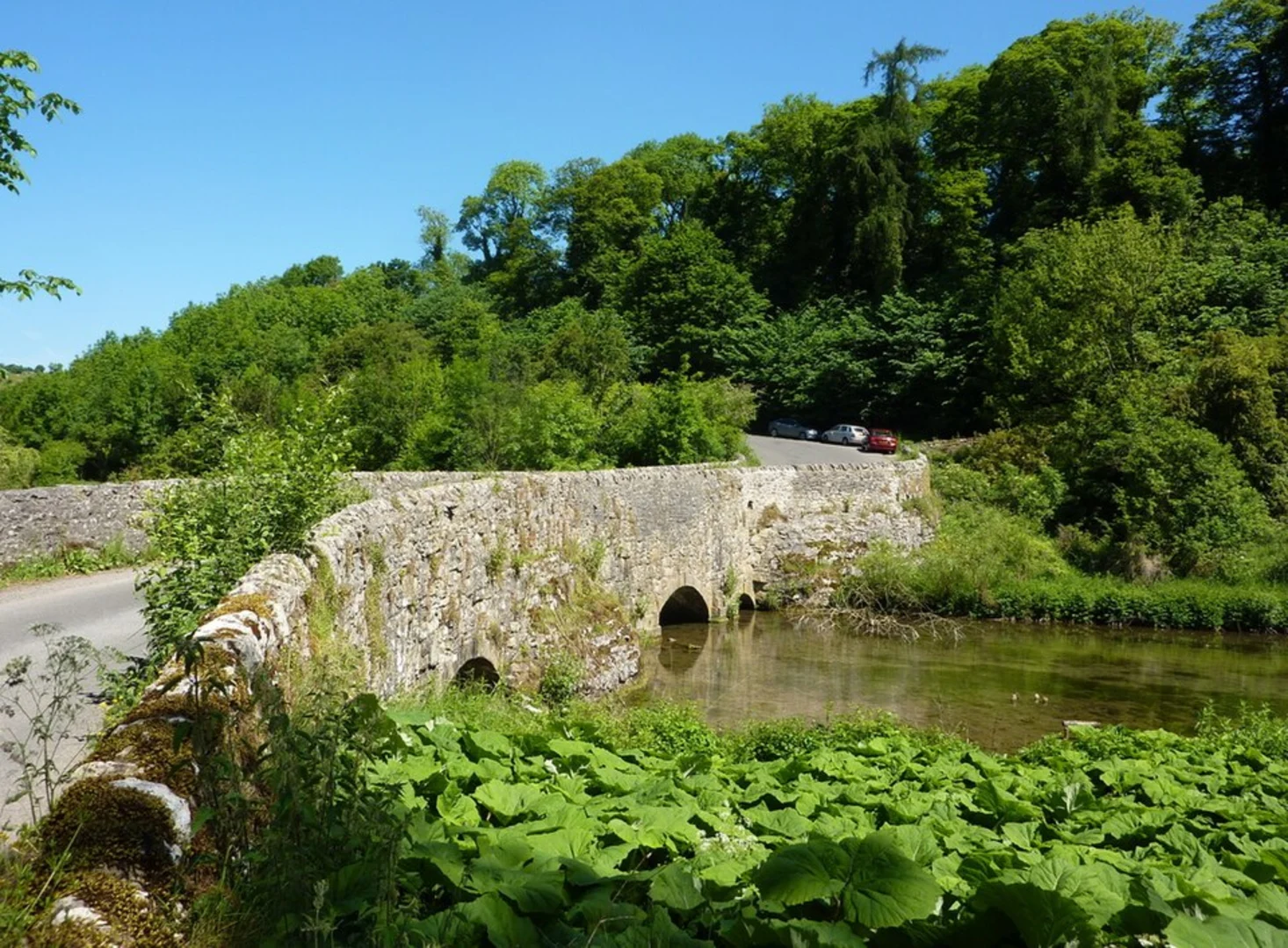 An image depicting the trail Monyash to Youlgreave Loop via River Lathkill and its surrounding area.