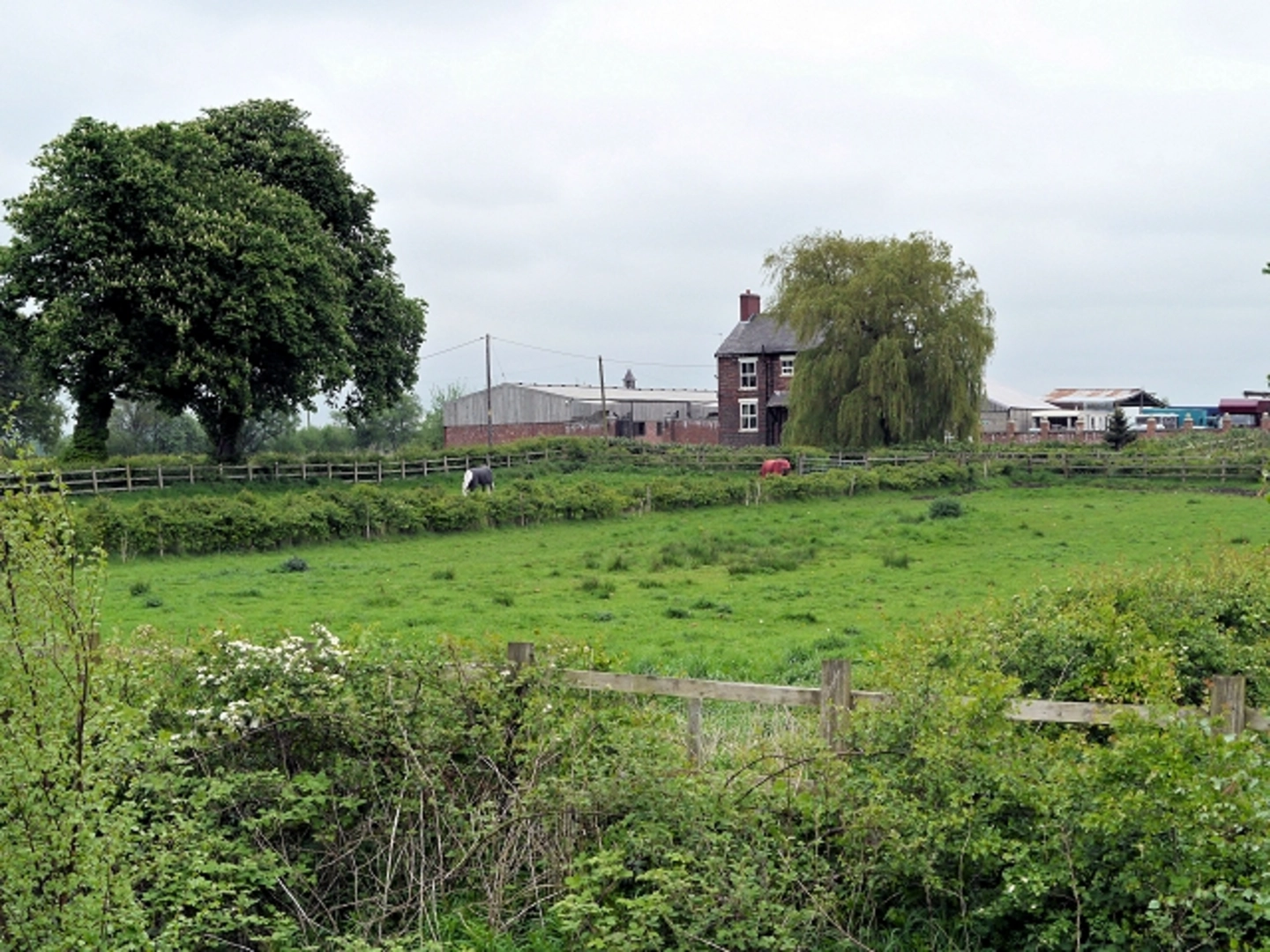 An image depicting the trail Barton Moss to Glazebrook Walk and its surrounding area.