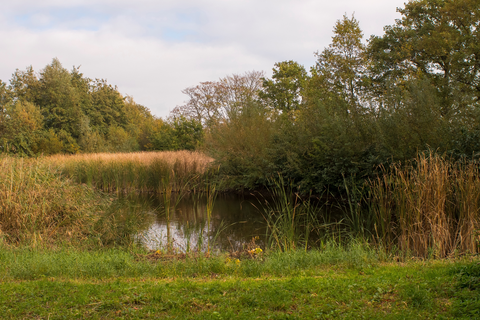 Maassluis to Hook of Holland via De Oranjeplassen and Staelduinse Bos