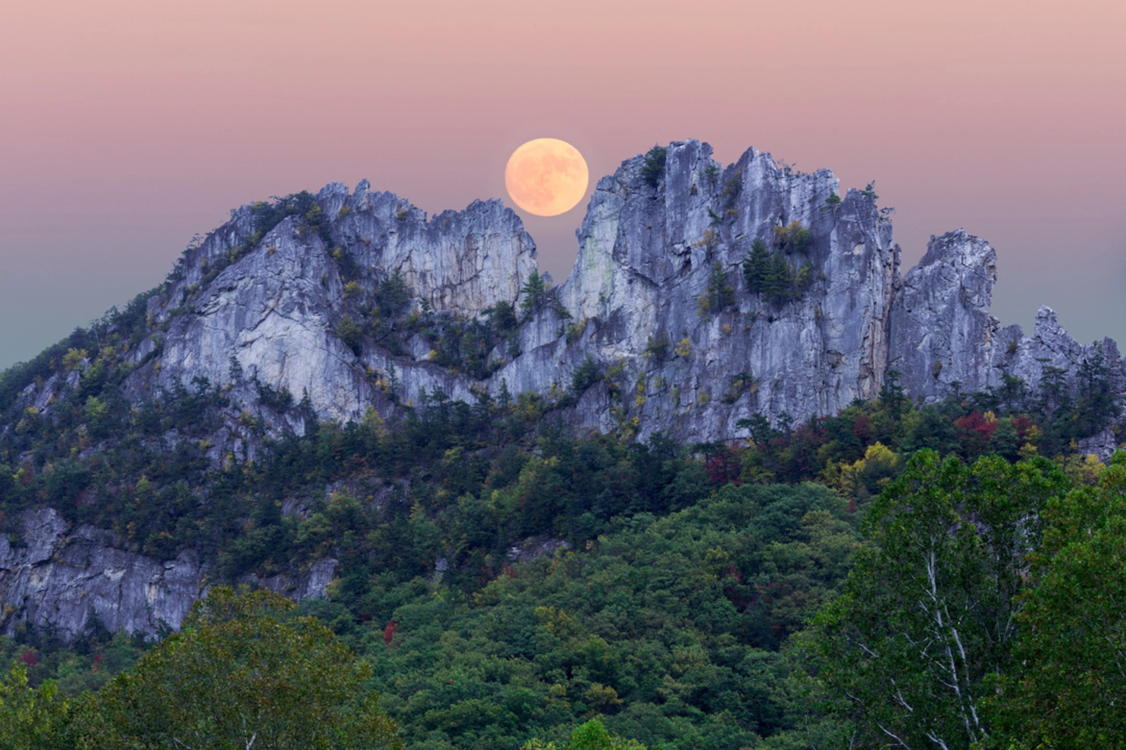 An image depicting the trail Seneca Rocks Trail and its surrounding area.