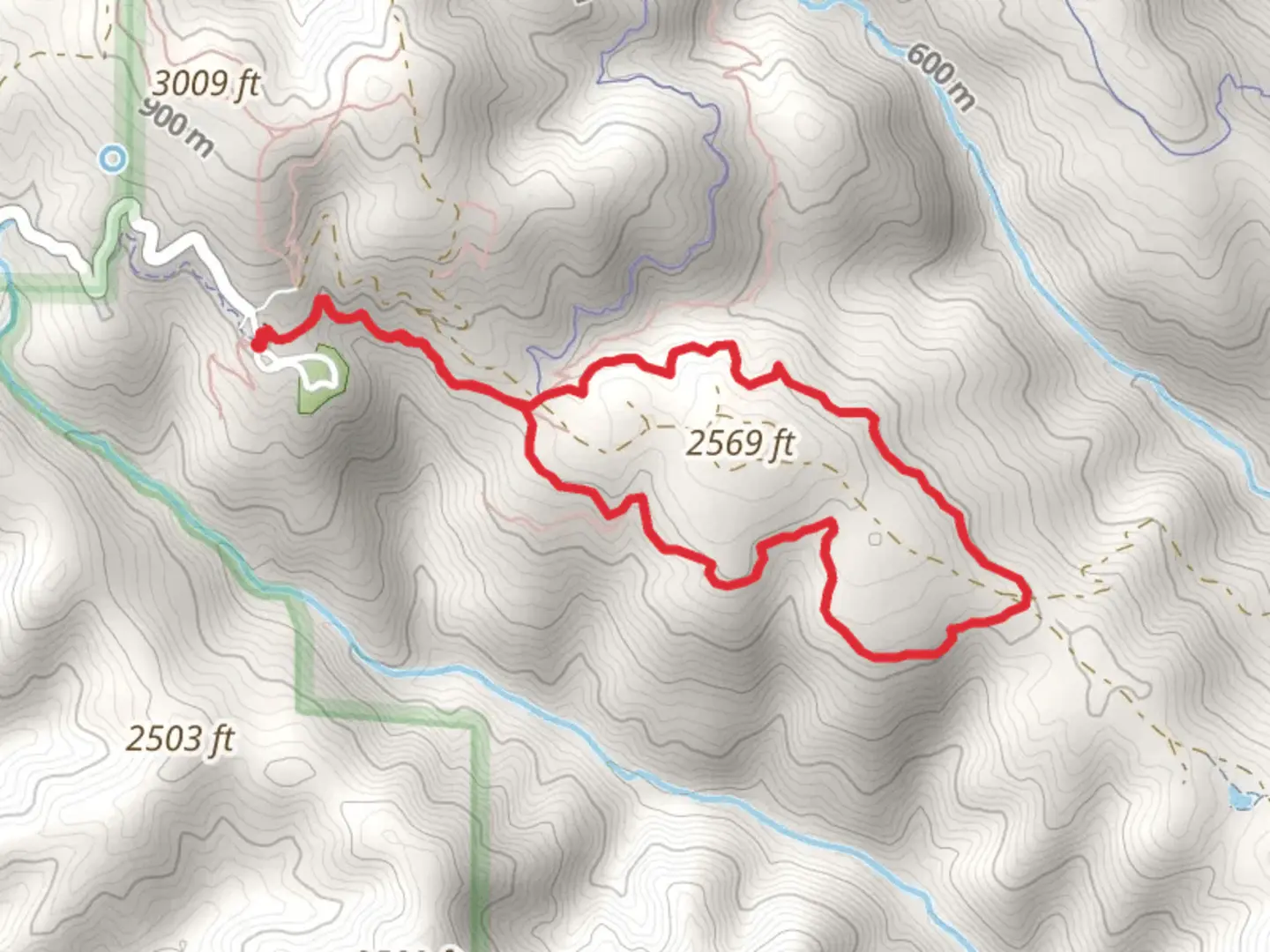 An image depicting the trail Corral, Springs and Forest Loop Trail and its surrounding area.