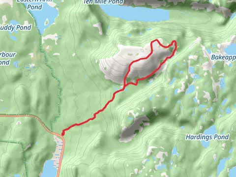 Gros Morne Mountain Trail