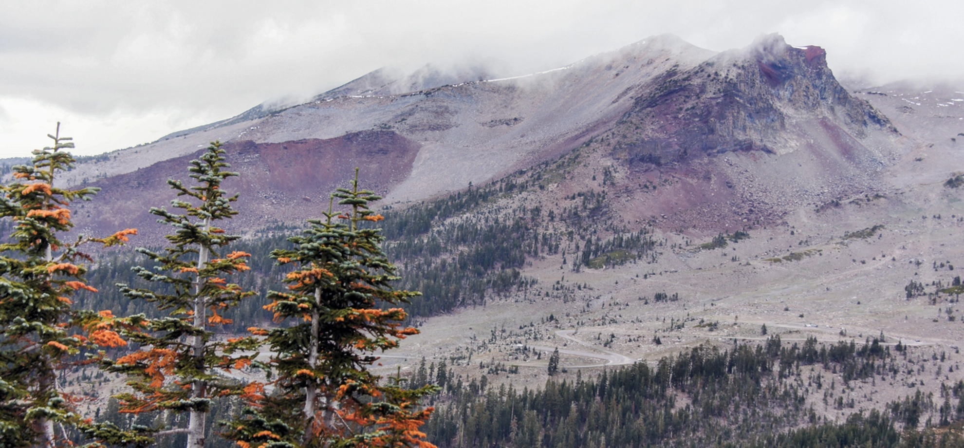 An image depicting the trail Red Fir Ridge Trail and its surrounding area.