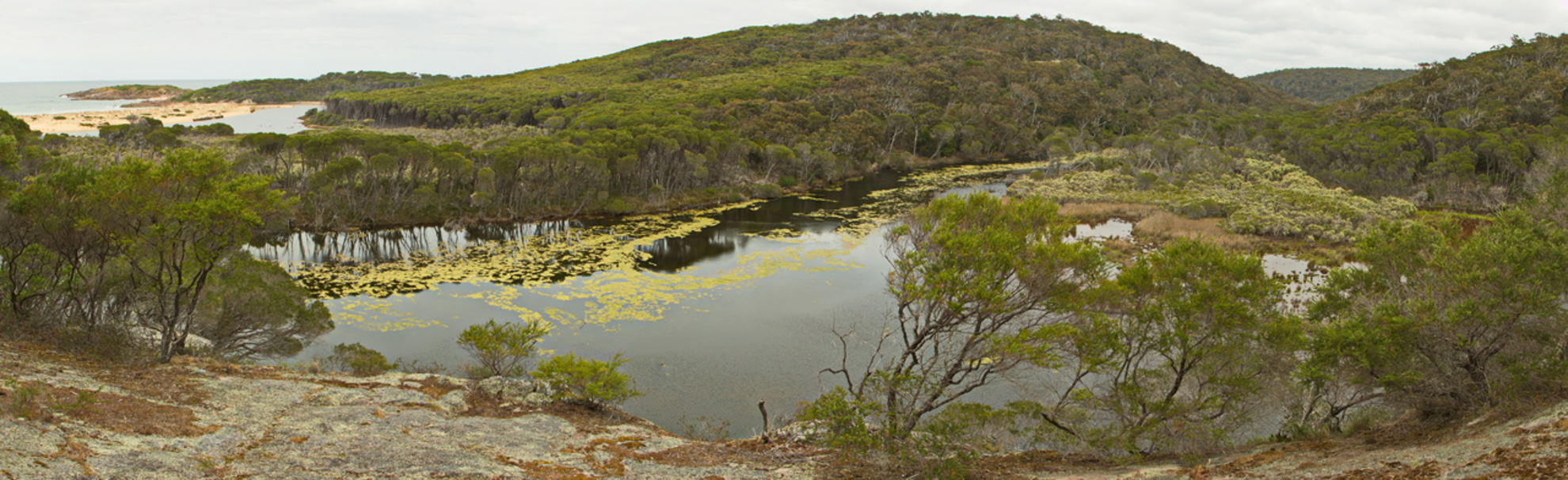 An image depicting the trail Sandy Creek Loop Track and its surrounding area.