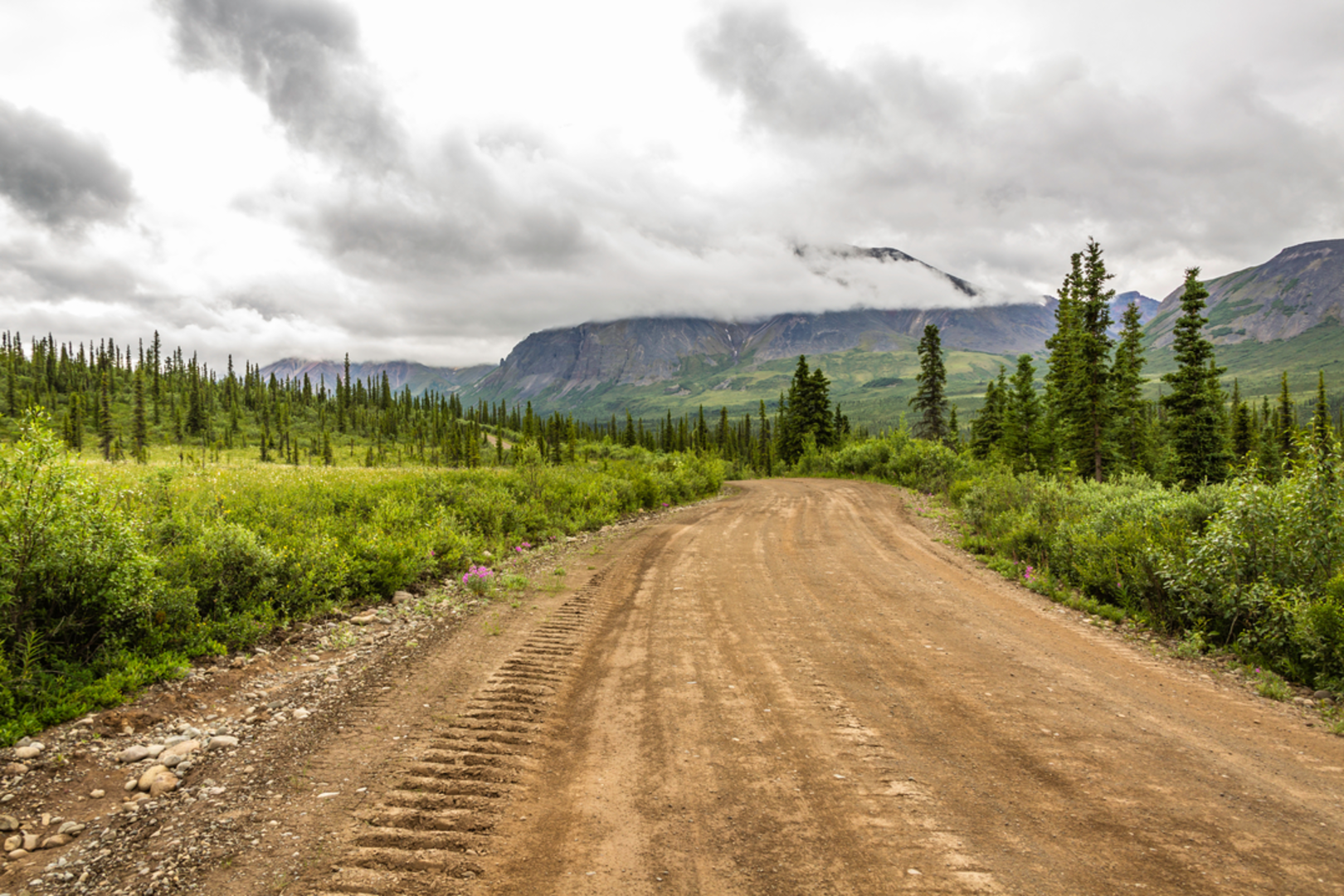 An image depicting the trail Rambler Mine Trail and its surrounding area.