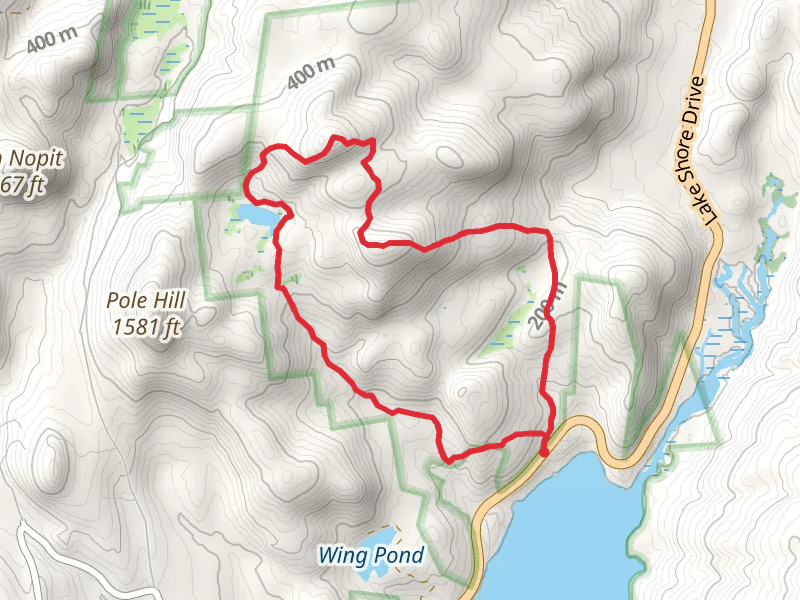 Pole Hill Pond Loop Trail