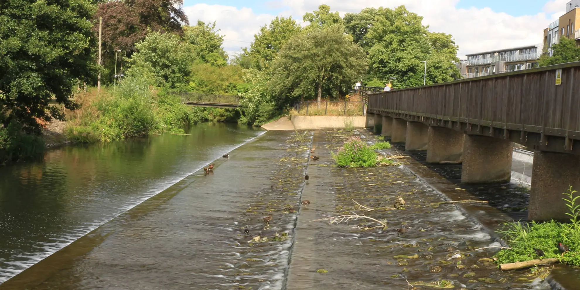 An image depicting the trail Walkern to Hartham Walk and its surrounding area.