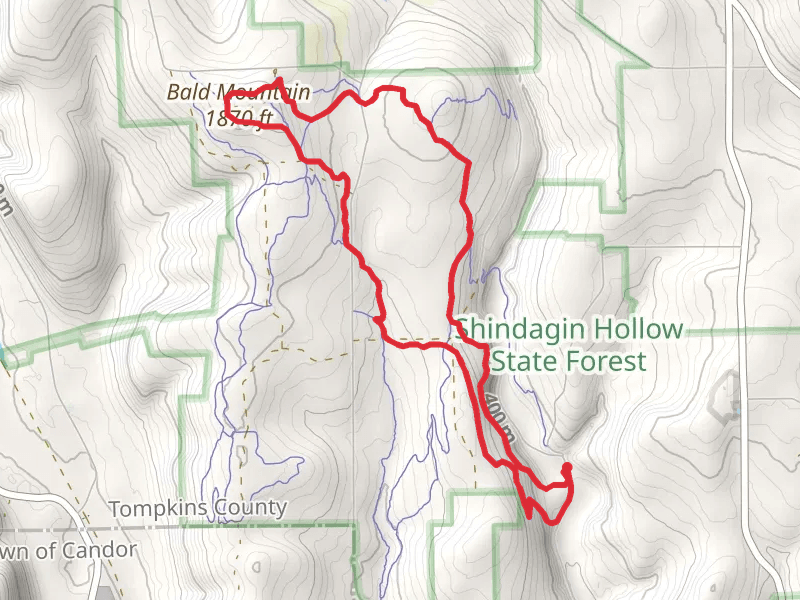 Bald Mountain Loop via Finger Lakes - North Country Trail