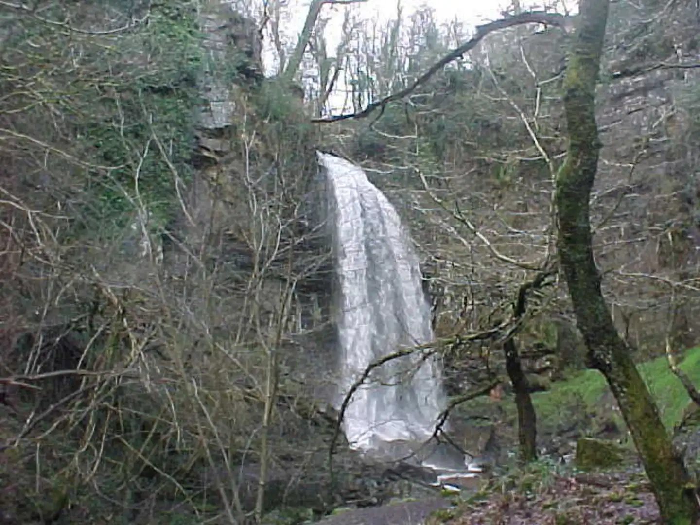 An image depicting the trail Melincourt Falls Walk and its surrounding area.