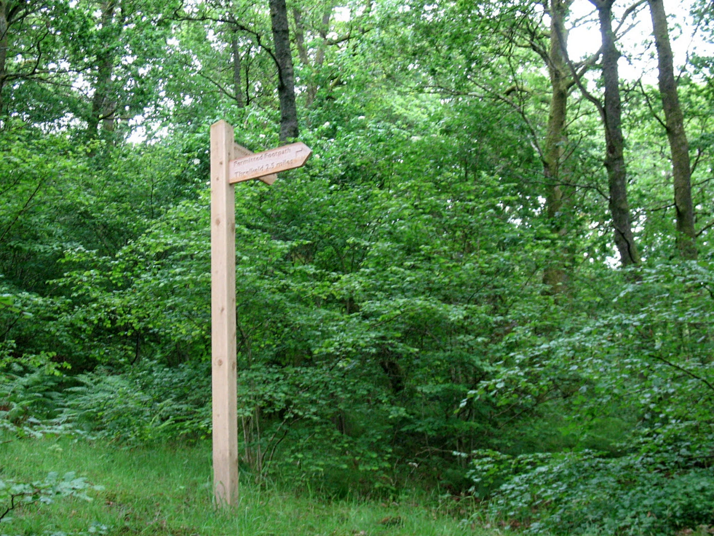 An image depicting the trail Wescoe to Keswick Walk and its surrounding area.
