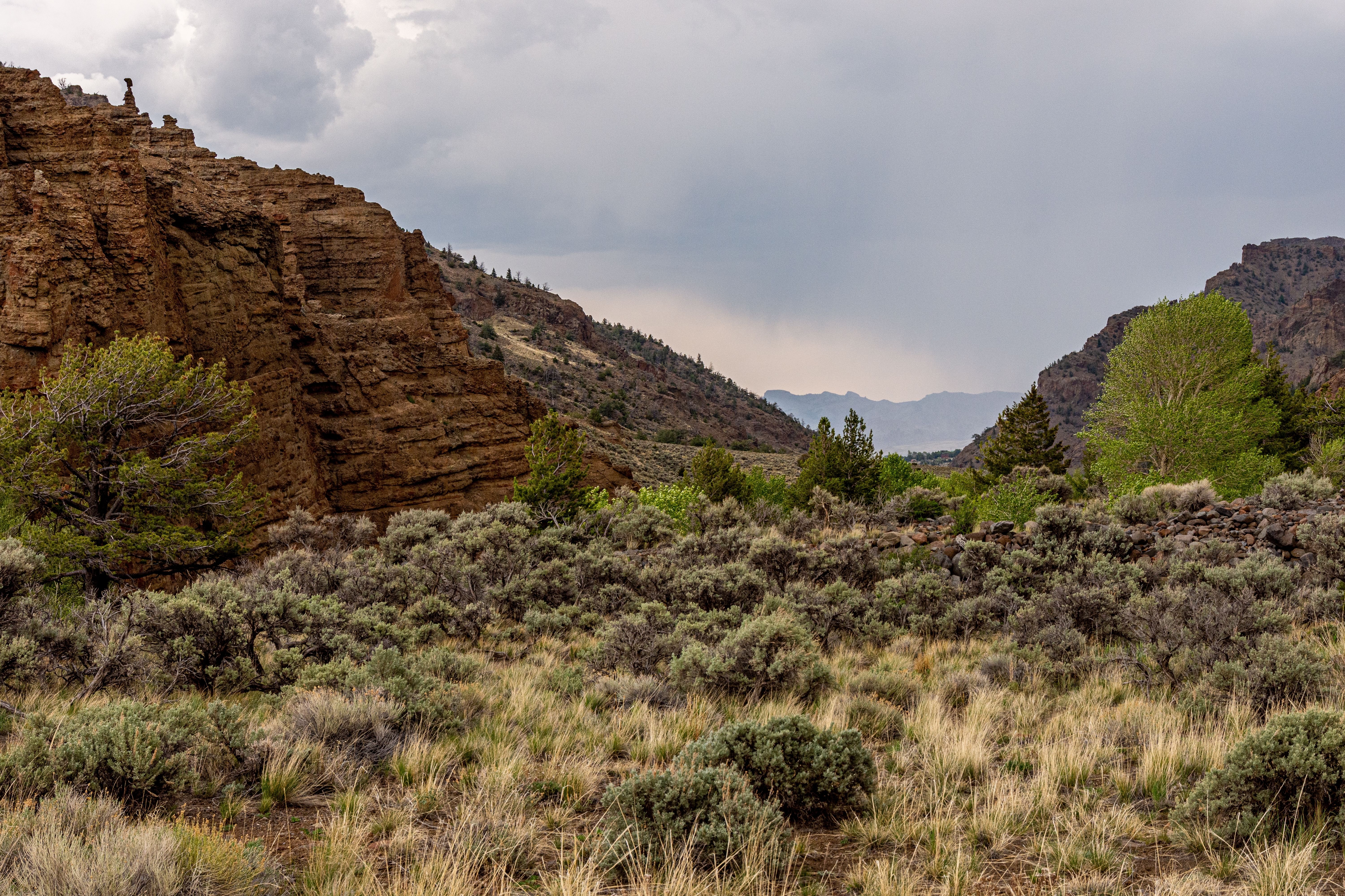 An image depicting the trail Shoshone National Forest and its surrounding area.