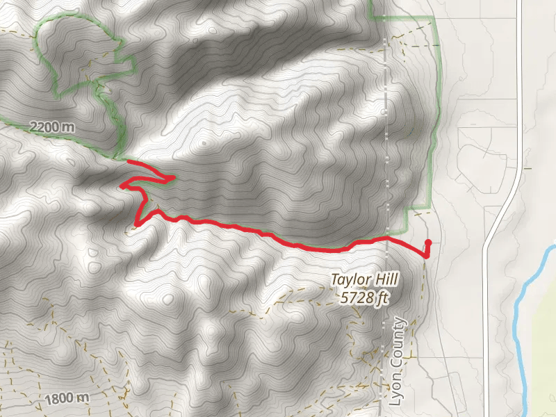 Rickey Canyon