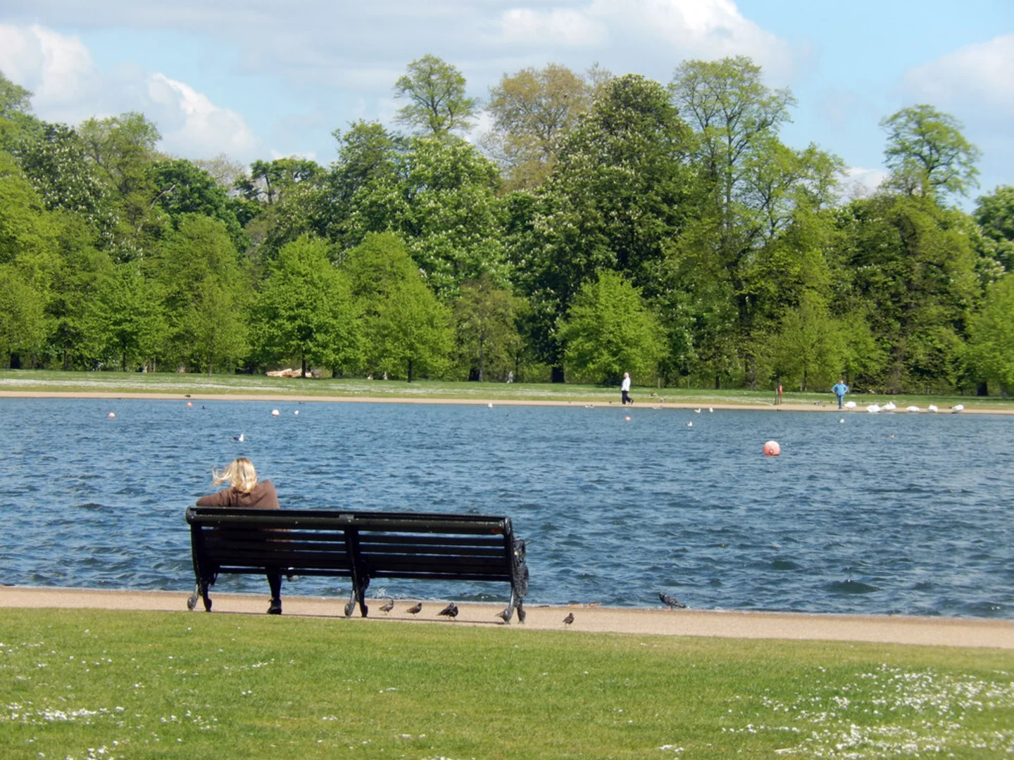 An image depicting the trail Kensington Gardens Short Loop and its surrounding area.