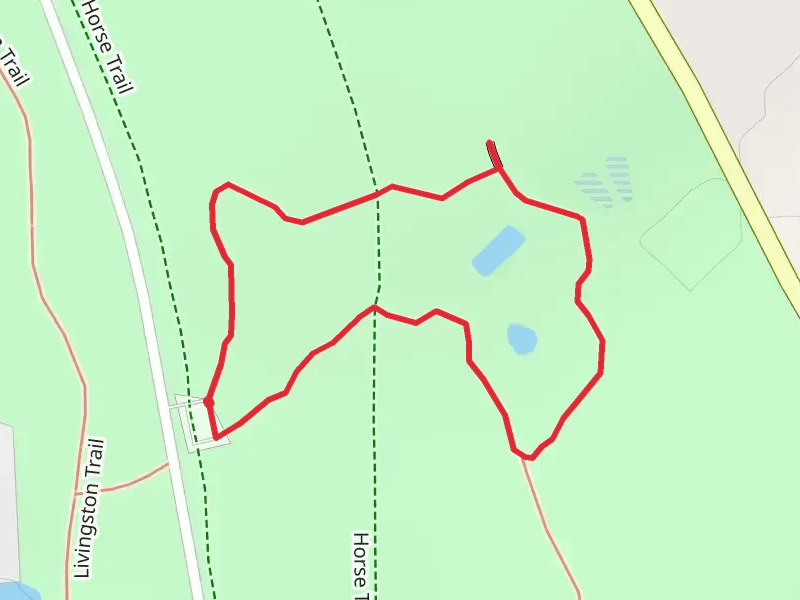 Piney Woods Nature Loop Trail