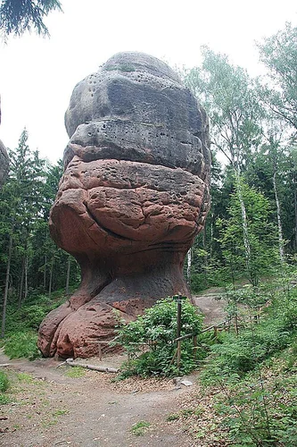 Donser Wald to Holzen Walk via Rothesteinhöhle