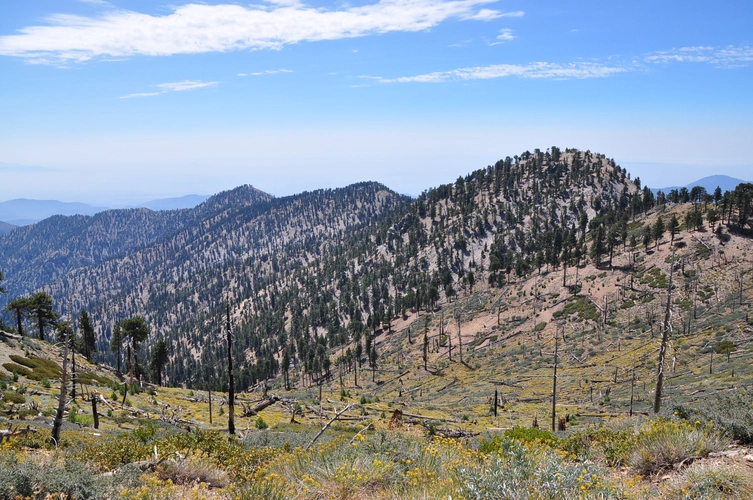 South Mount Hawkins Loop Trail