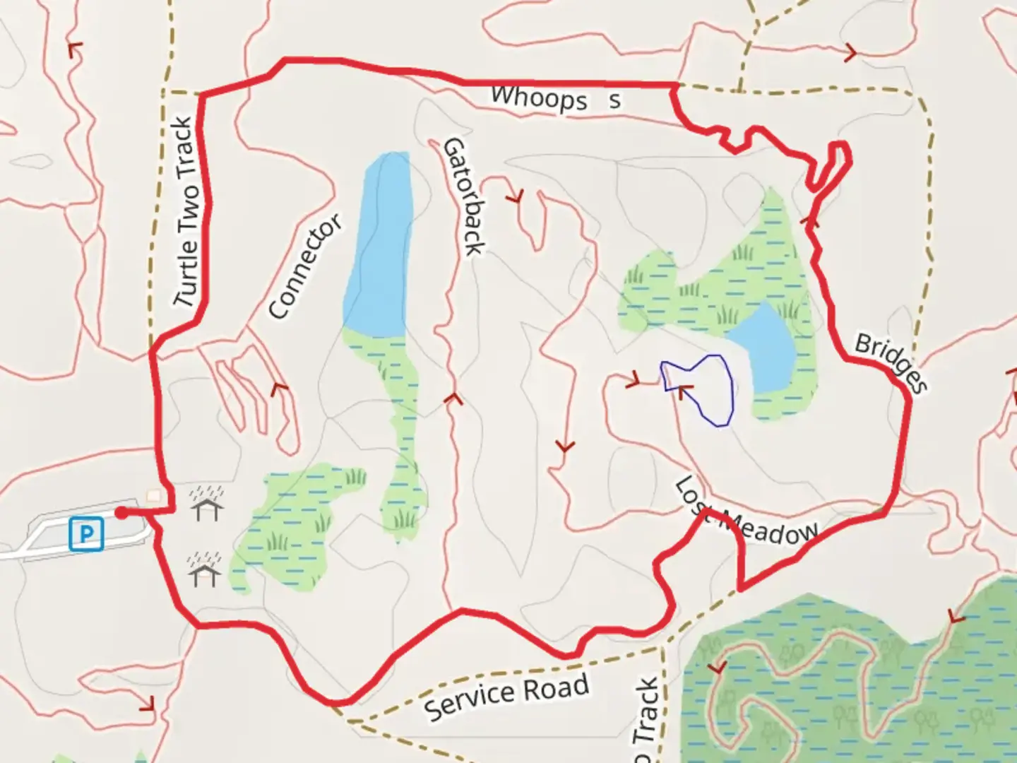 An image depicting the trail Lost Meadow Connector, Bridges and Turtle Two Track Loop and its surrounding area.