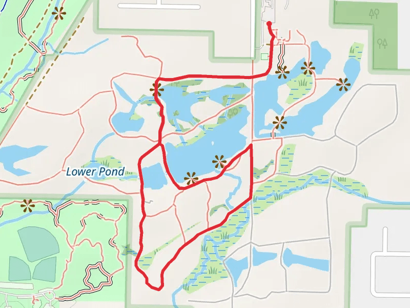 Flattail Lake via Beech Tree Trail