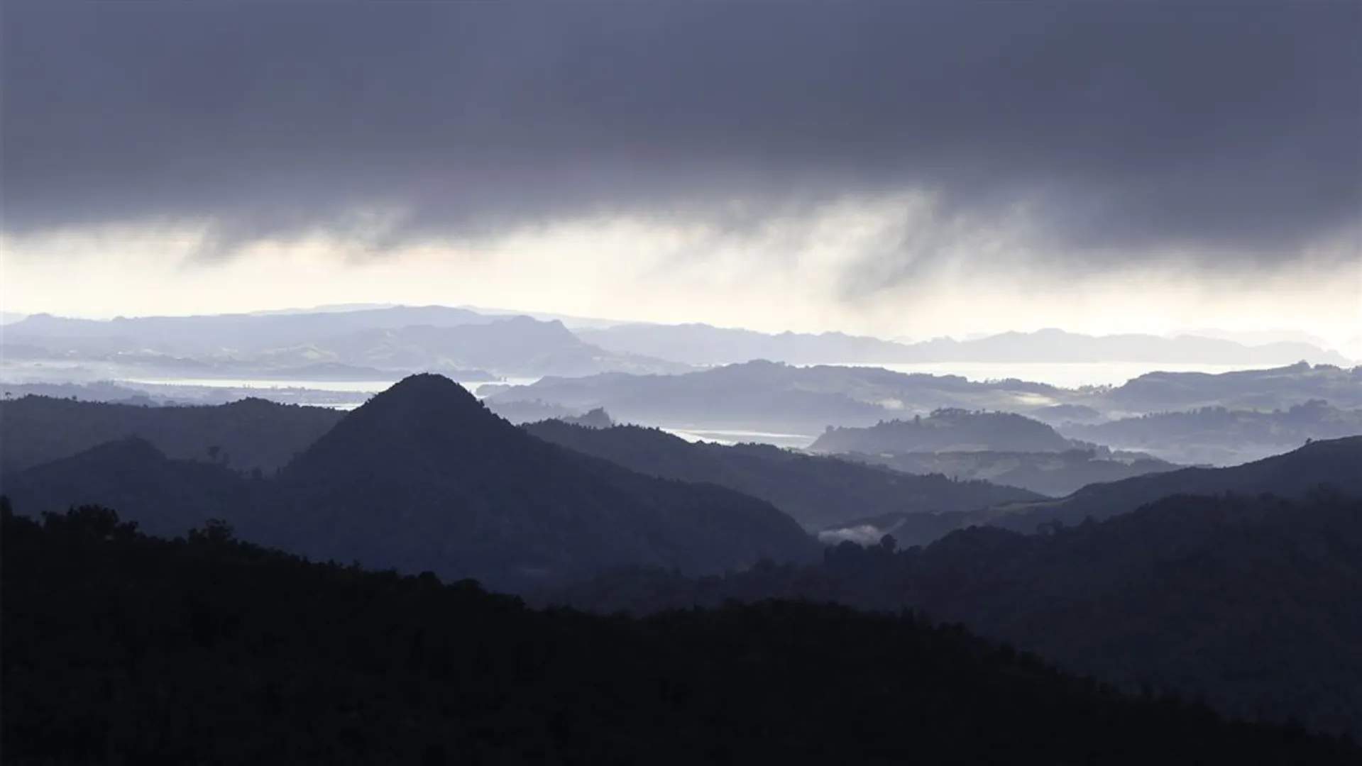 An image depicting the trail Tararu Track and its surrounding area.