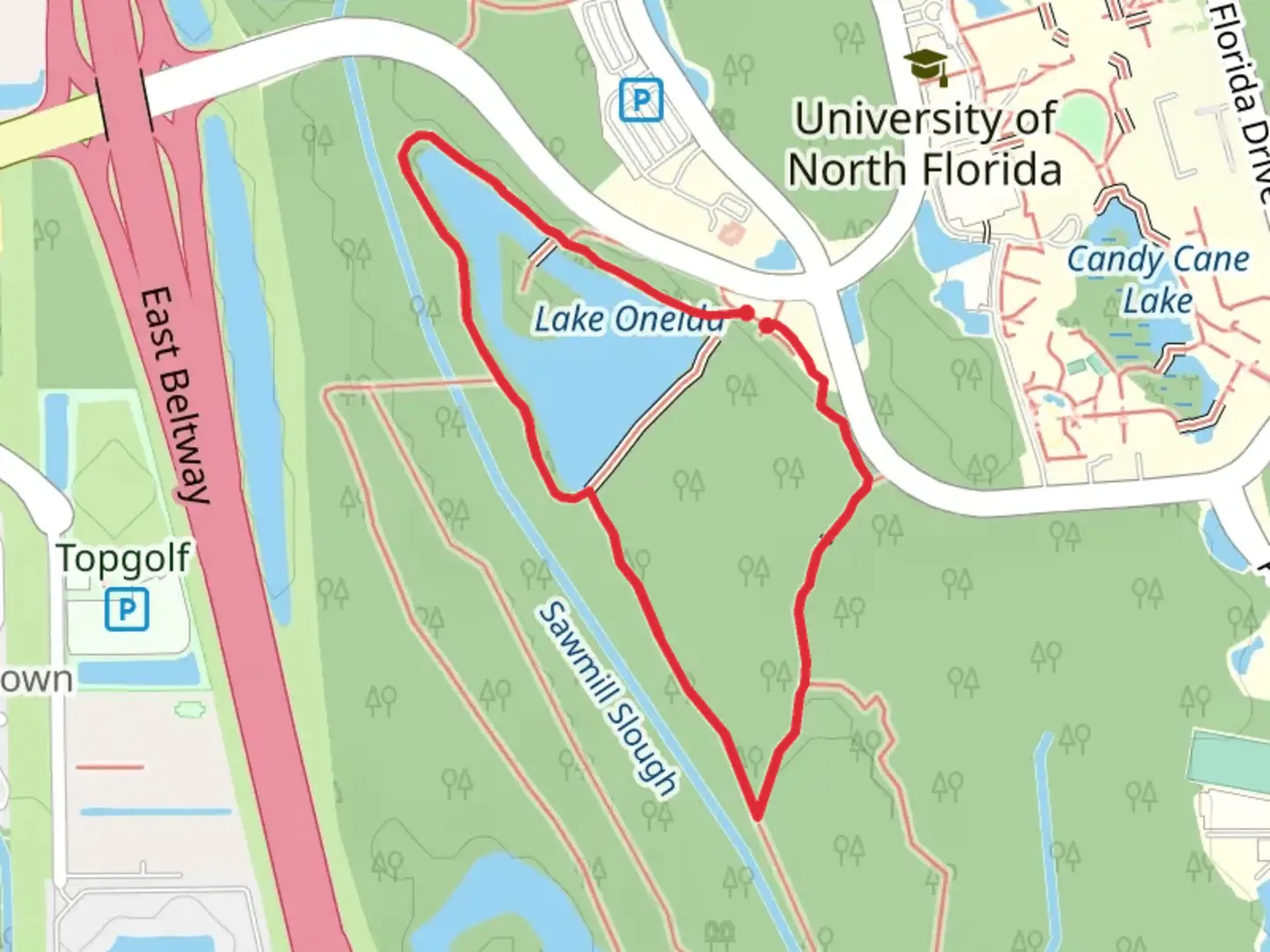 An image depicting the trail LAke Oneida via Blueberry Trail and Goldenrod Trail and its surrounding area.